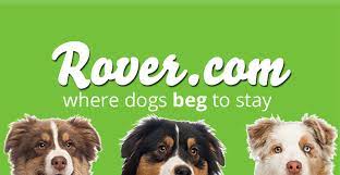 the Rover logo, a pet sitting app to make sure your feline friends are taken care of