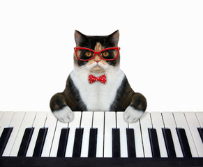 music cat 2