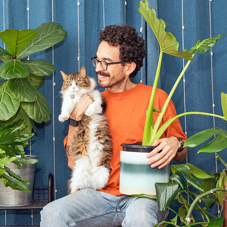 Ways to Tell That Your Cat Is Happy Hero